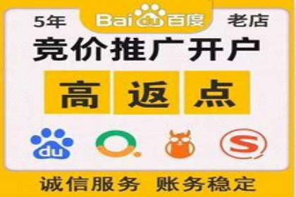 竞价排名案例：应对竞争对手策略